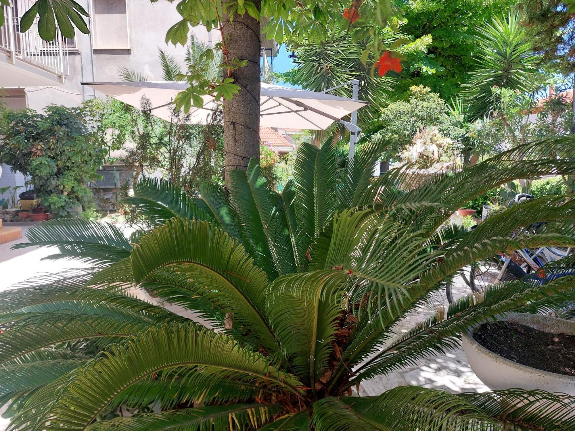 B&B La Fontanella San Benedetto del Tronto Exterior foto